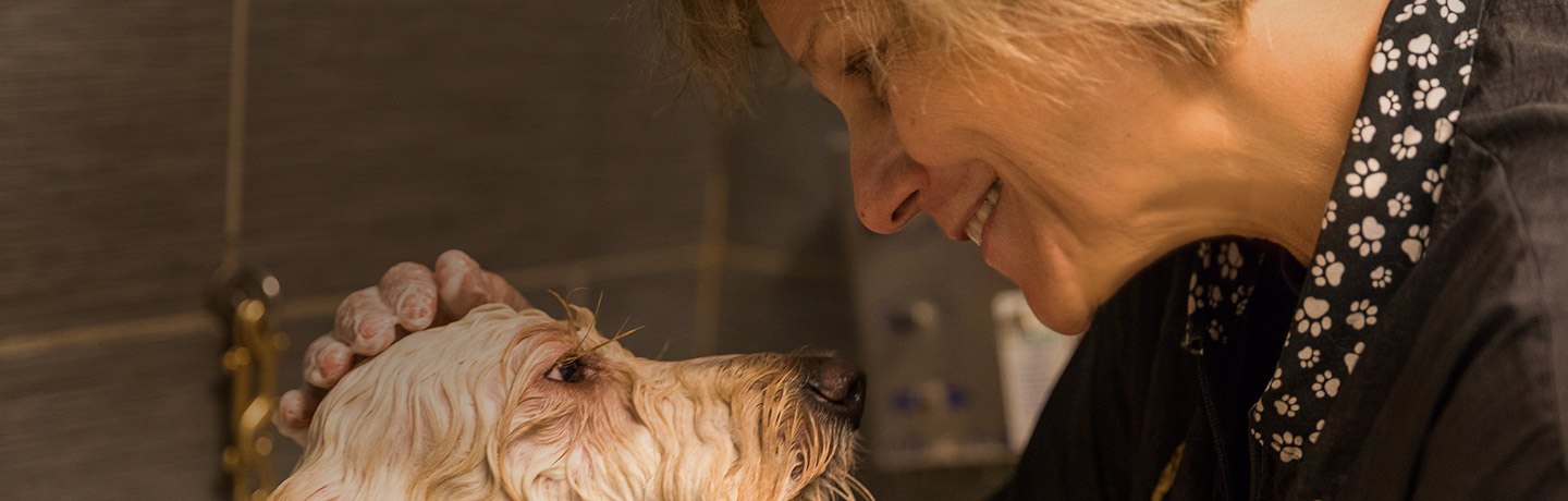 Staying on Top of Your Pet’s Grooming