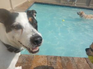 Spring Break 2014: Best Bets for Boarding