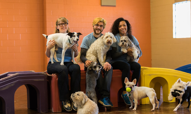 year round flea and tick prevention