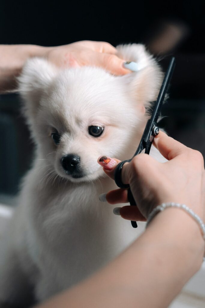 grooming