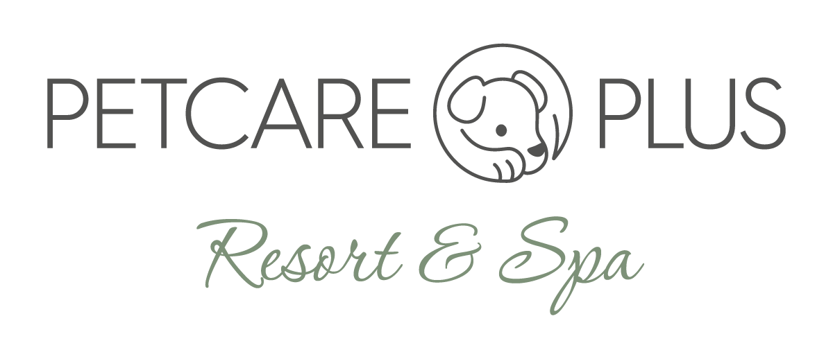 Pet Care Plus Resort and Spa