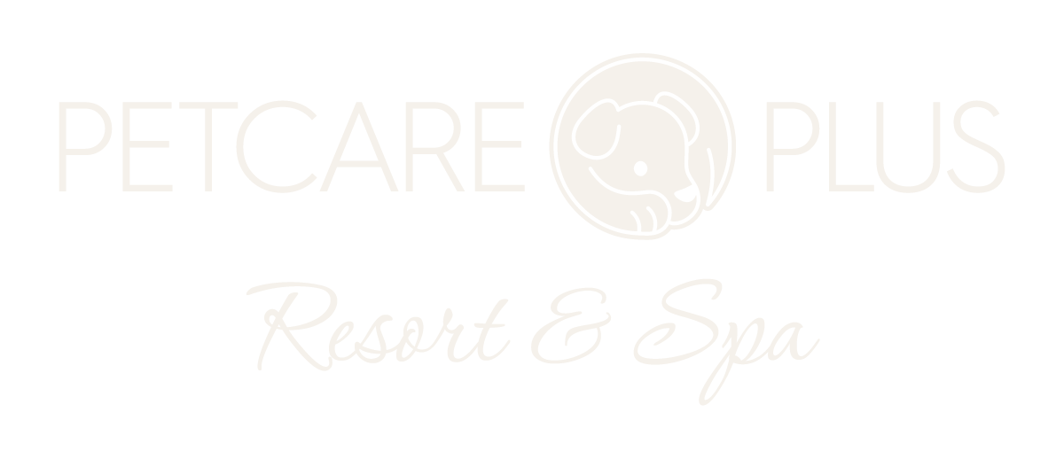Pet Care Plus Resort and Spa
