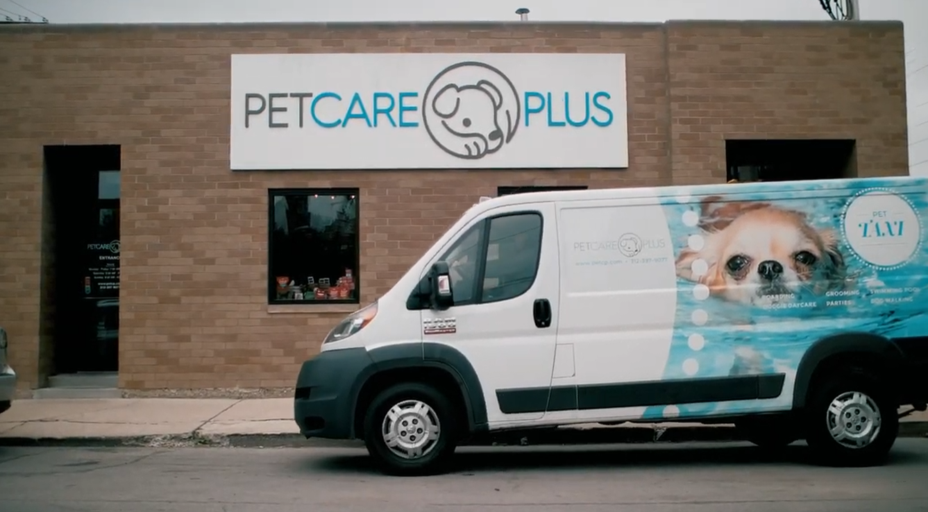 Pet taxi pickup and drop-off at Pet Care Plus