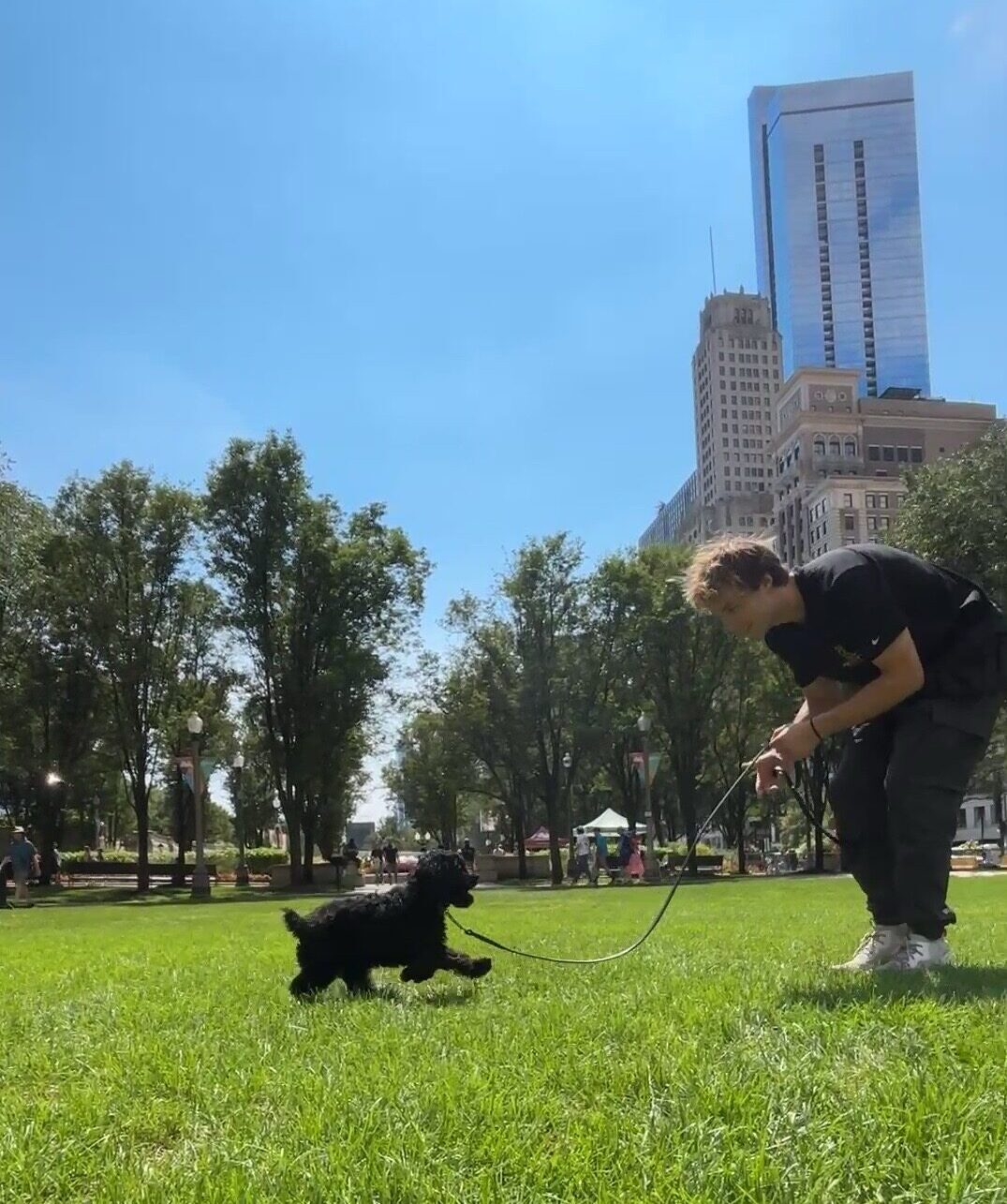 Dog training with Prestige Dog Training